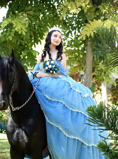 Blue Ball Gown Quinceanera Dresses Off the Shoulder Beaded Layered Tulle Sweet 16 Dress Party Gowns SH3553