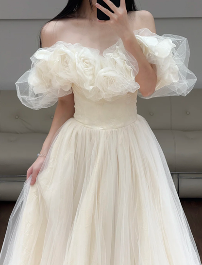 Off The Shoulder A Line Prom Dress Beige Tulle Birthday Dress  fg8622