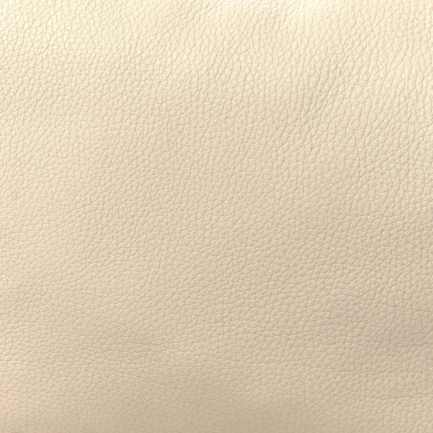 Grained Calfskin Medium Everyday Shoulder Bag Ivory