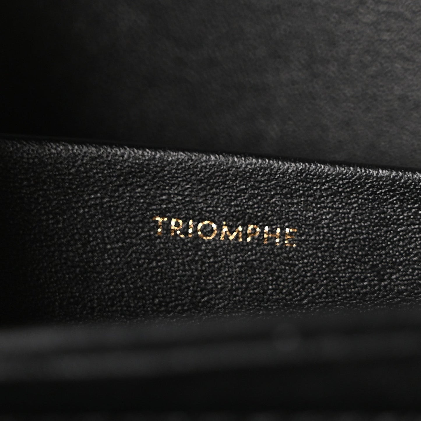 Shiny Calfskin Medium Triomphe Black